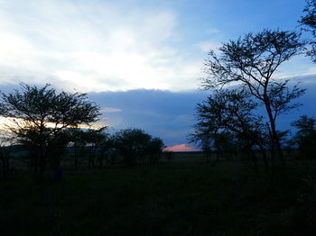 Отель Serengeti Acacia Central Camp Экстерьер фото