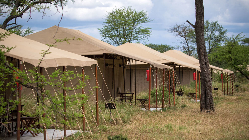 Отель Serengeti Acacia Central Camp Экстерьер фото